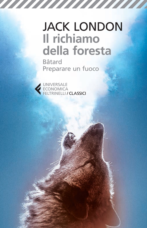 “Il richiamo della foresta” di Jack London: riassunto trama