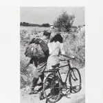 L'Agnese va a morire, Renata Viganò, riassunto, trama